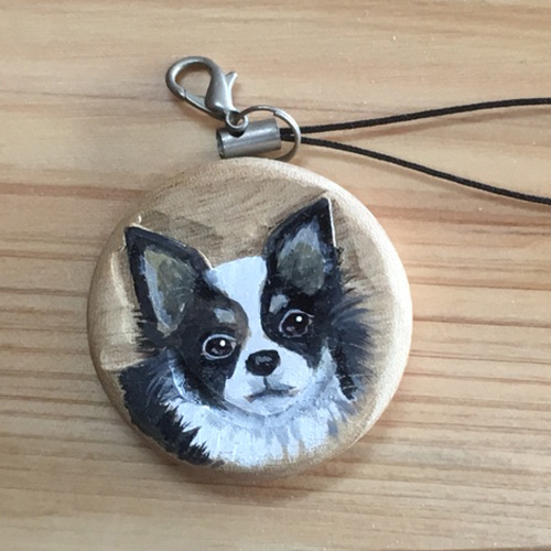 Pet key ring